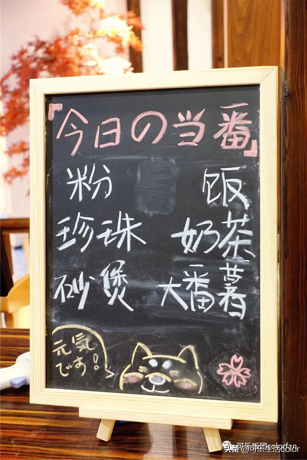 撸柴宠物乐园,广州番禺撸狗圣地