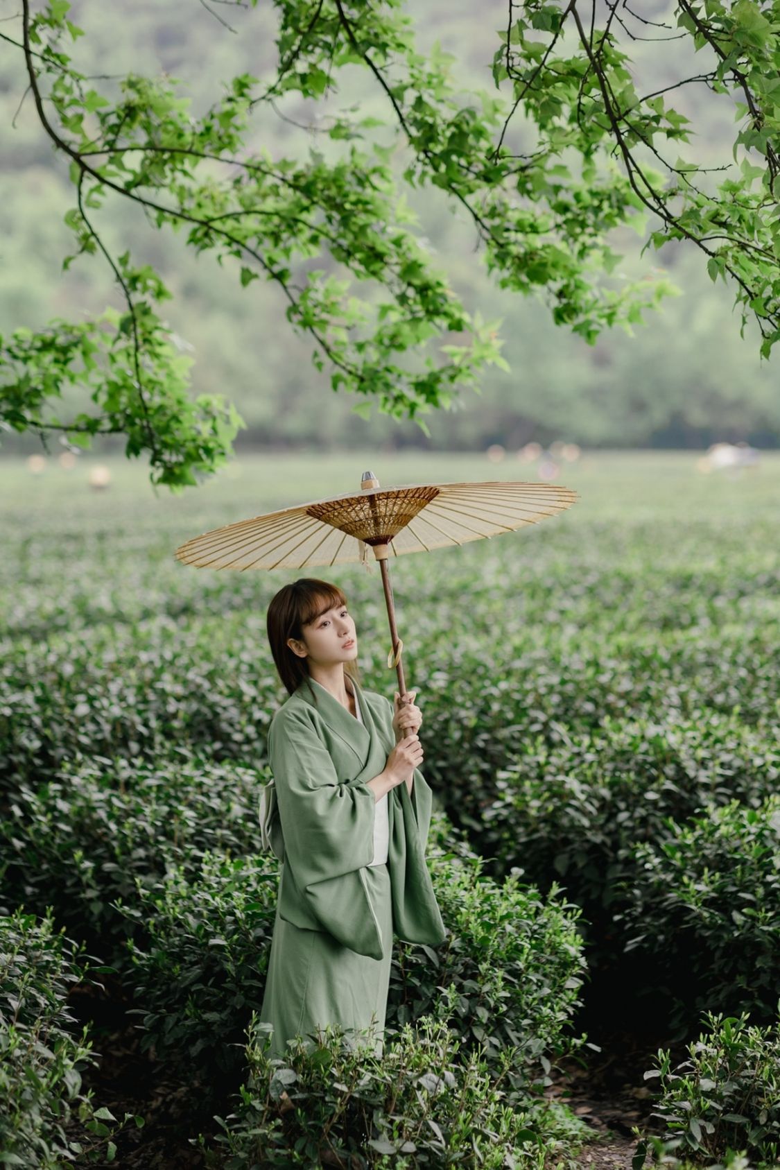 清明时节摄影师六月与帆