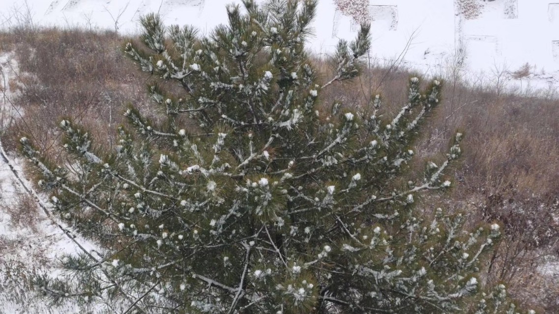 网络赚外快兼职,哪些兼职或自由职业可以月入过万