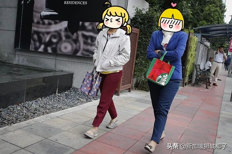 新加坡冻成狗,新加坡狂风暴雨来袭