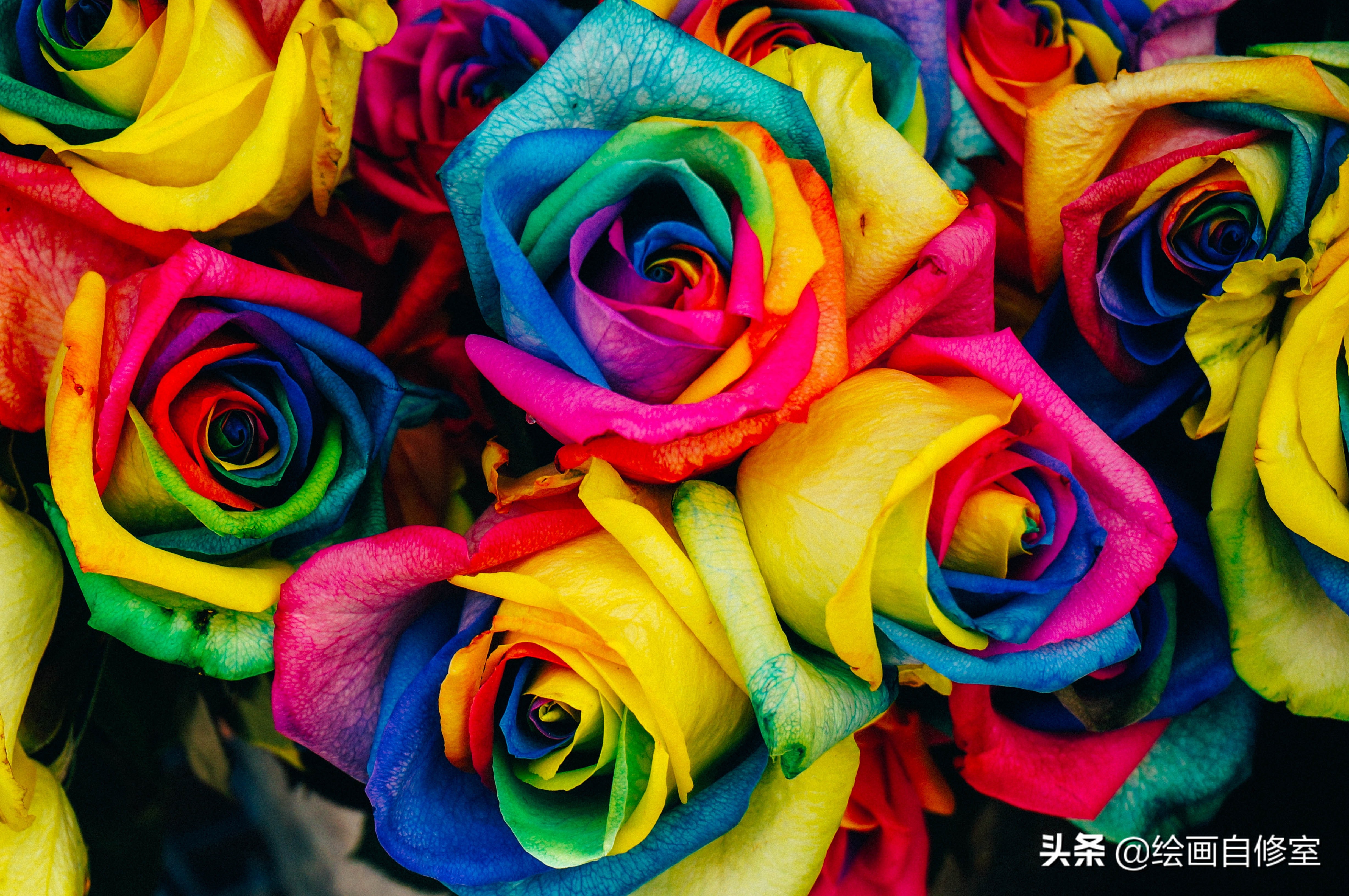 情人节送女朋友礼物玫瑰书签,送男朋友的手绘书签