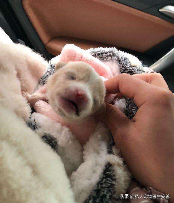 怎么为母乳喂养做准备,怎么为母亲办好后事