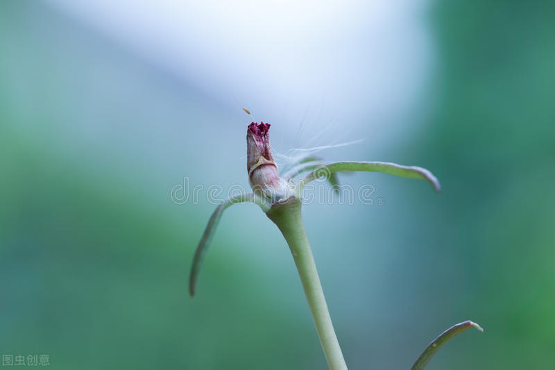 鍊氱獥鍚鎬濋煻鍗庨潤鏁版祦骞村叆鐑熼湠,鏃跺厜婕嵎宀佹湀鐣欓