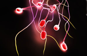 精子异常做基因筛查,精子检查有异常怎么治疗