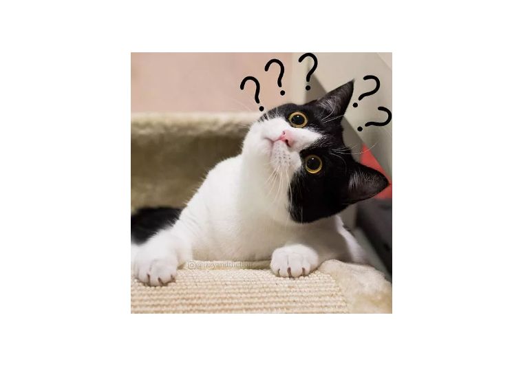 龙生九子为什么都不是真龙,龙生九子龙父又是谁