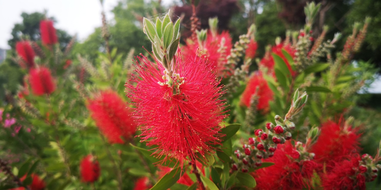 上海奉贤新城的亮点,奉贤南桥镇奉贤新城现状