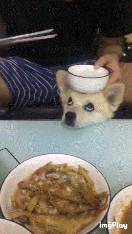 赌100袋辣条,赌十包辣条