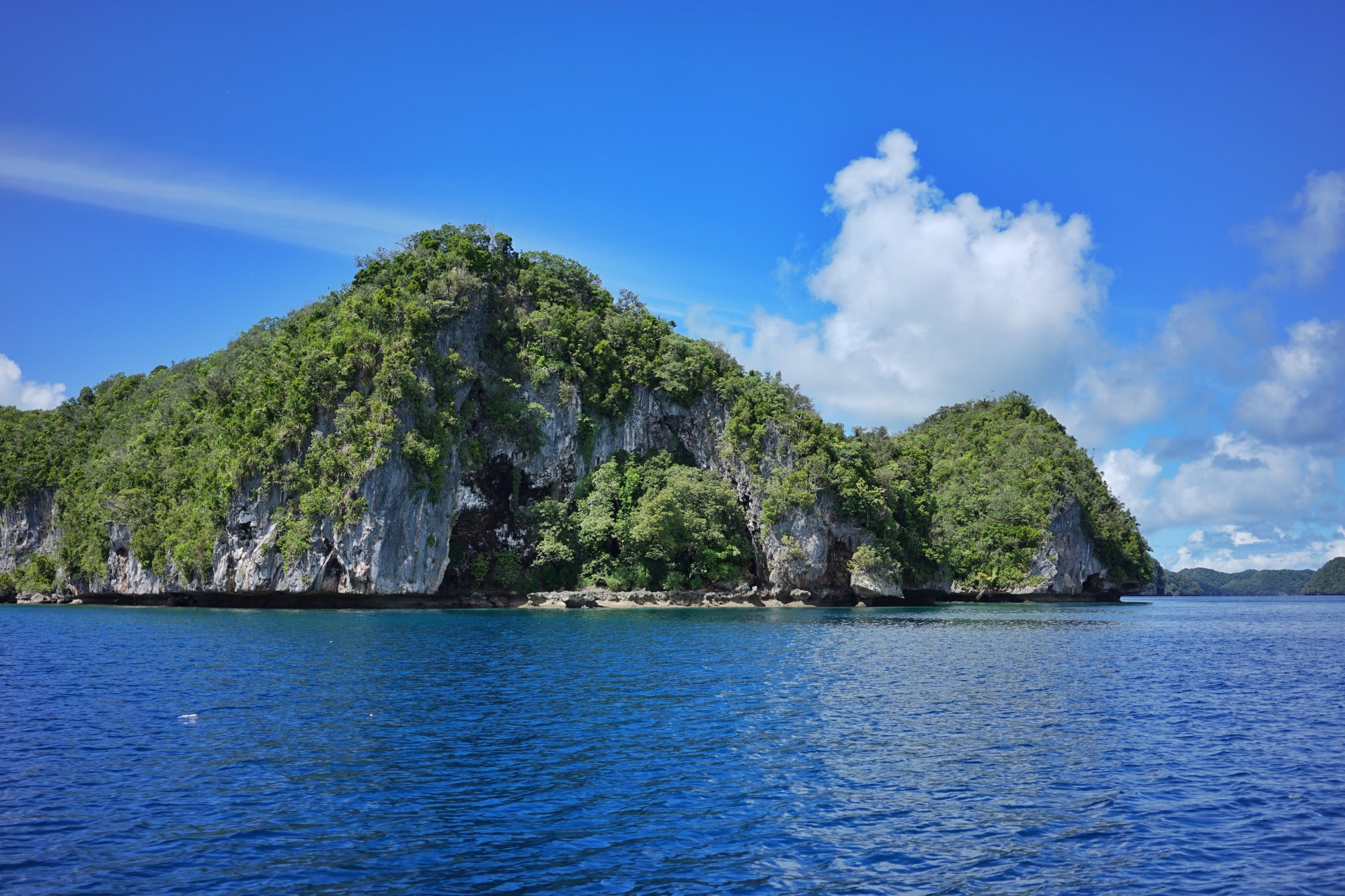 一定是特别的缘分——帕劳，再遇见「周若雪Patty」·上