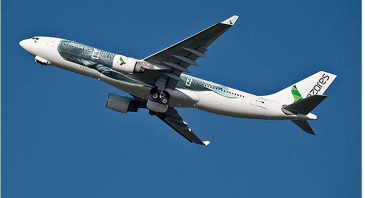 全球首架进博号彩绘飞机视频,中国联合航空庆阳号模型