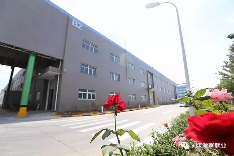 国瓷材料最新深度分析,国瓷材料300285