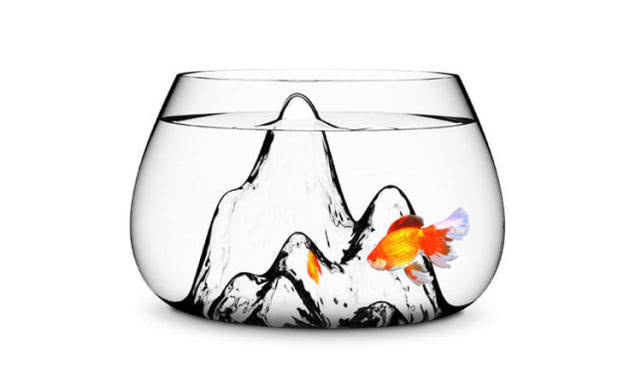 鱼缸水变红的原因和处理方法,鱼缸的水越来越清是怎么回事