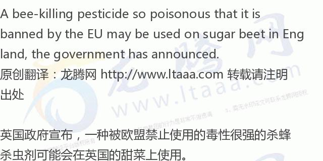 「龙腾网」英国政府允许农民使用欧盟禁止的危害蜜蜂的杀虫剂