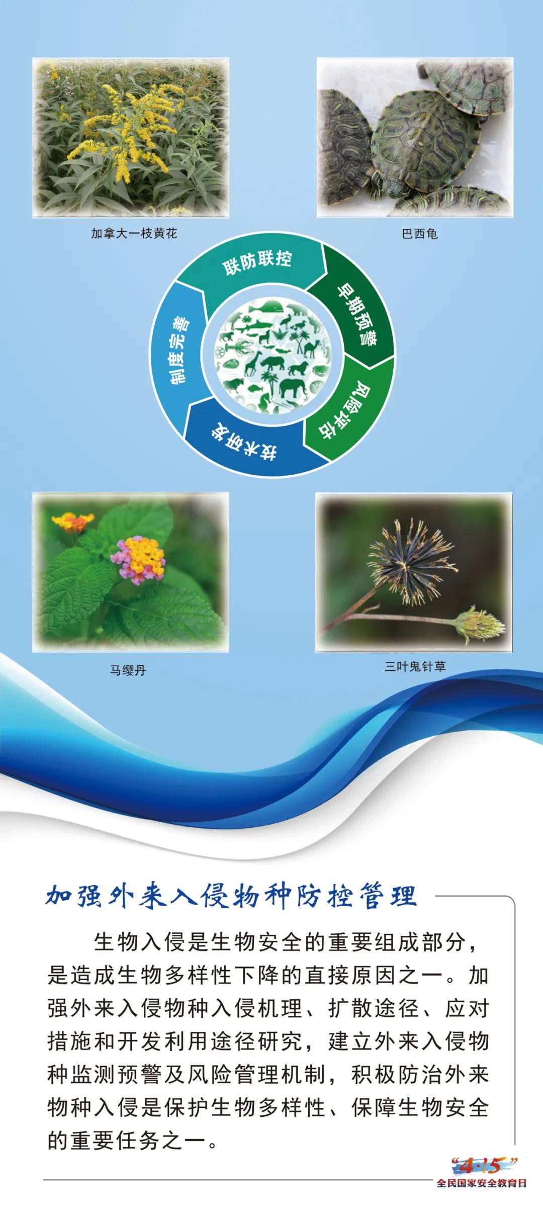 2024年4.15国家安全日宣传展板,2024年全民国家安全教育日展板