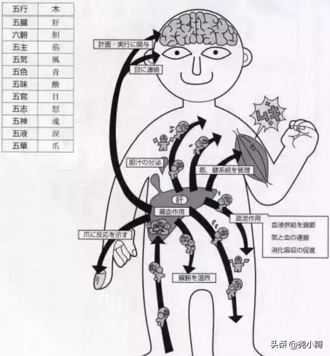 中药在日本的真实情况,在日本的中药叫汉方药