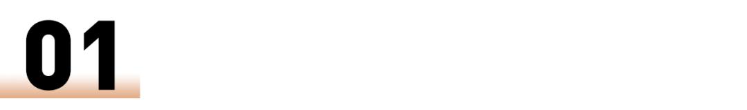 净网2019/深圳300警力突袭9家售车公司，揭开“零首付购车融资”黑幕