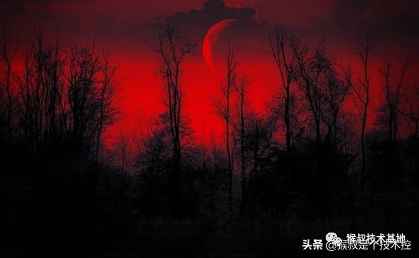 人为什么要赚钱这是最好的回答,为什么要努力赚钱最正确的回答