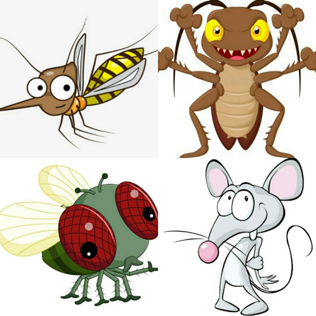 四害到底该不该灭绝,四害可以彻底灭绝吗