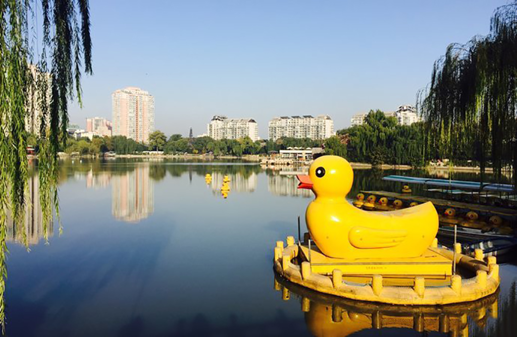 北京紫竹院公园里有什么景点,北京一日游海淀区紫竹苑风景优美