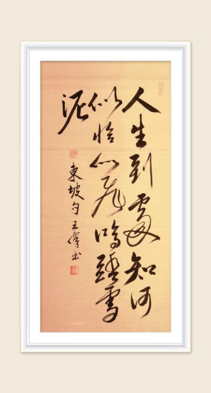 巜以苏轼之名，品味宋代极致美学》——王伟书法之十五