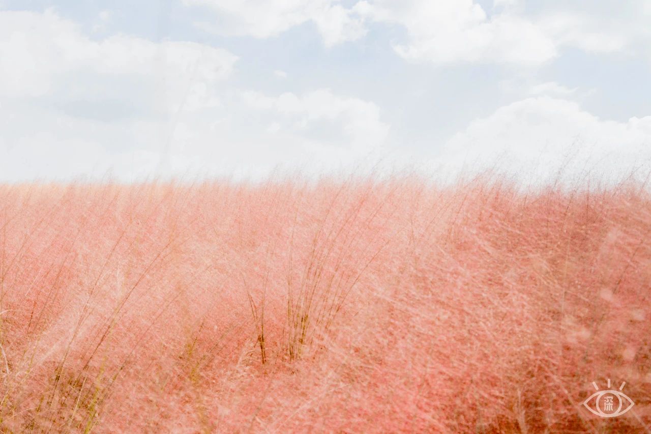 深圳各区最美的地方,深圳6个绝美地方