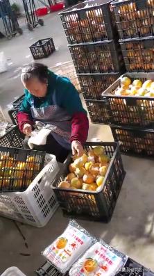 临近年关吃东西容易上火,就让这款小甜橙拯救一下