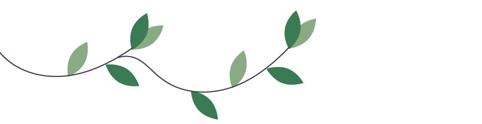 idp怎么申请,IDP团队管理能力