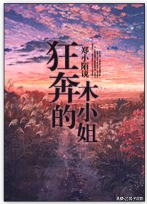 这碗粥小说主角,小说作者这碗粥