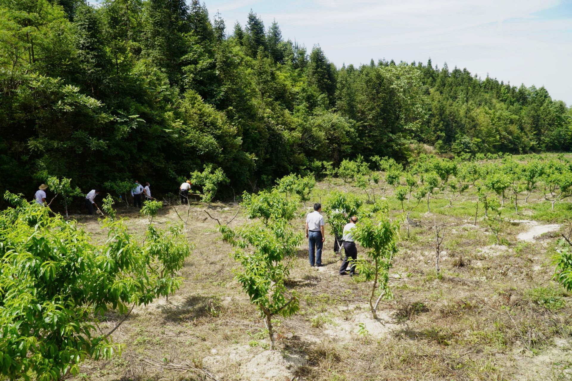 湖北省天门市美丽乡村建设名单,天门美丽乡村搬迁