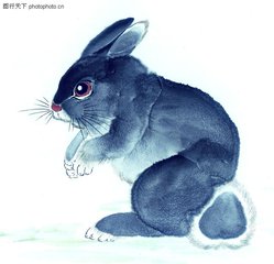 2019猪生肖每月运势李居明,2019特吉生肖运势