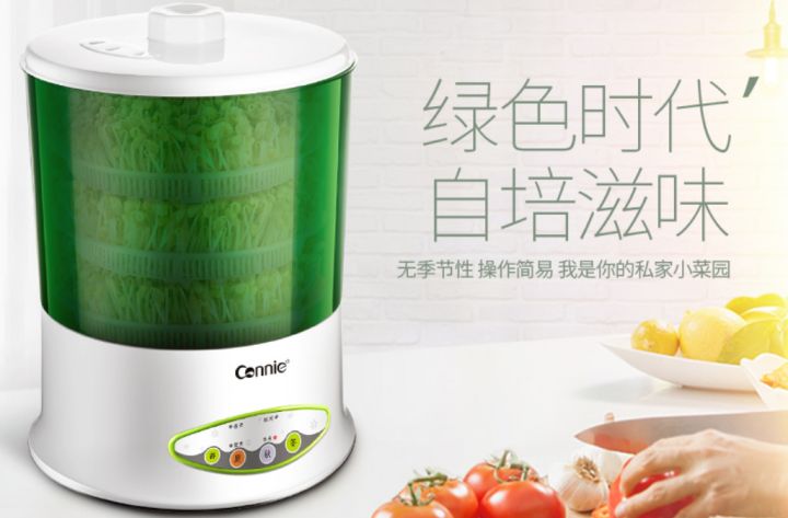 海水缸养海参,鱼缸养海参正确方法