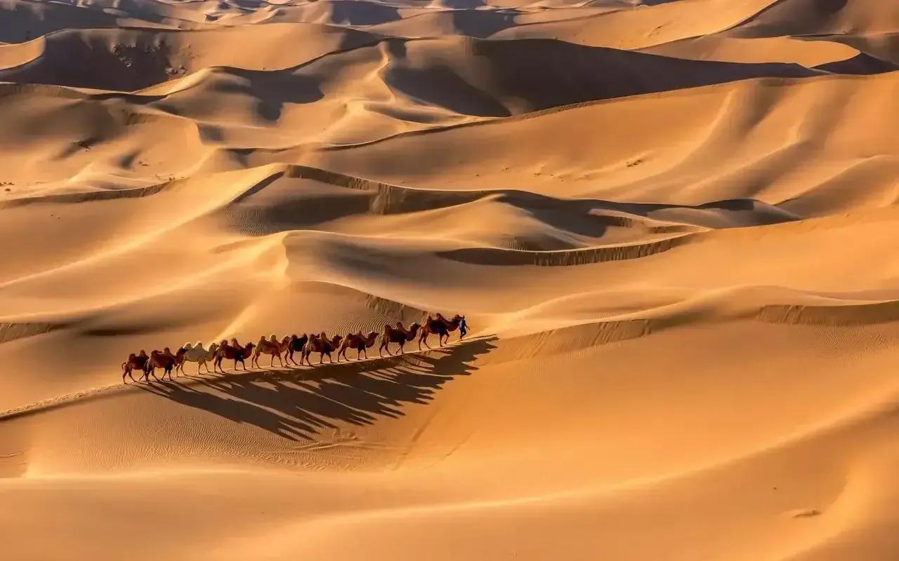 诚信友善中国梦,诚信助推中国梦