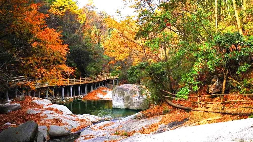 1011月错过它们，等于错过整个秋天！人少清净，随手一拍都是大片