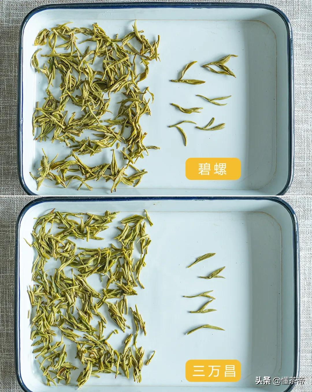 十大品牌的碧螺春排名,碧螺春哪个品牌卖得最好