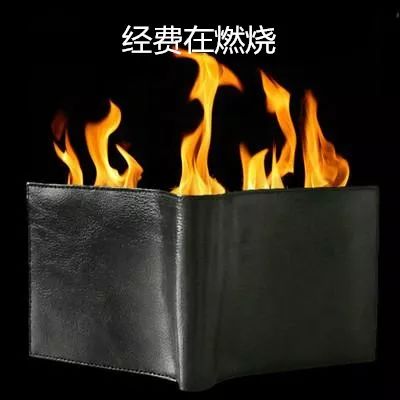 在深圳不用摇号的车型,在深圳没有车怎么申请摇号