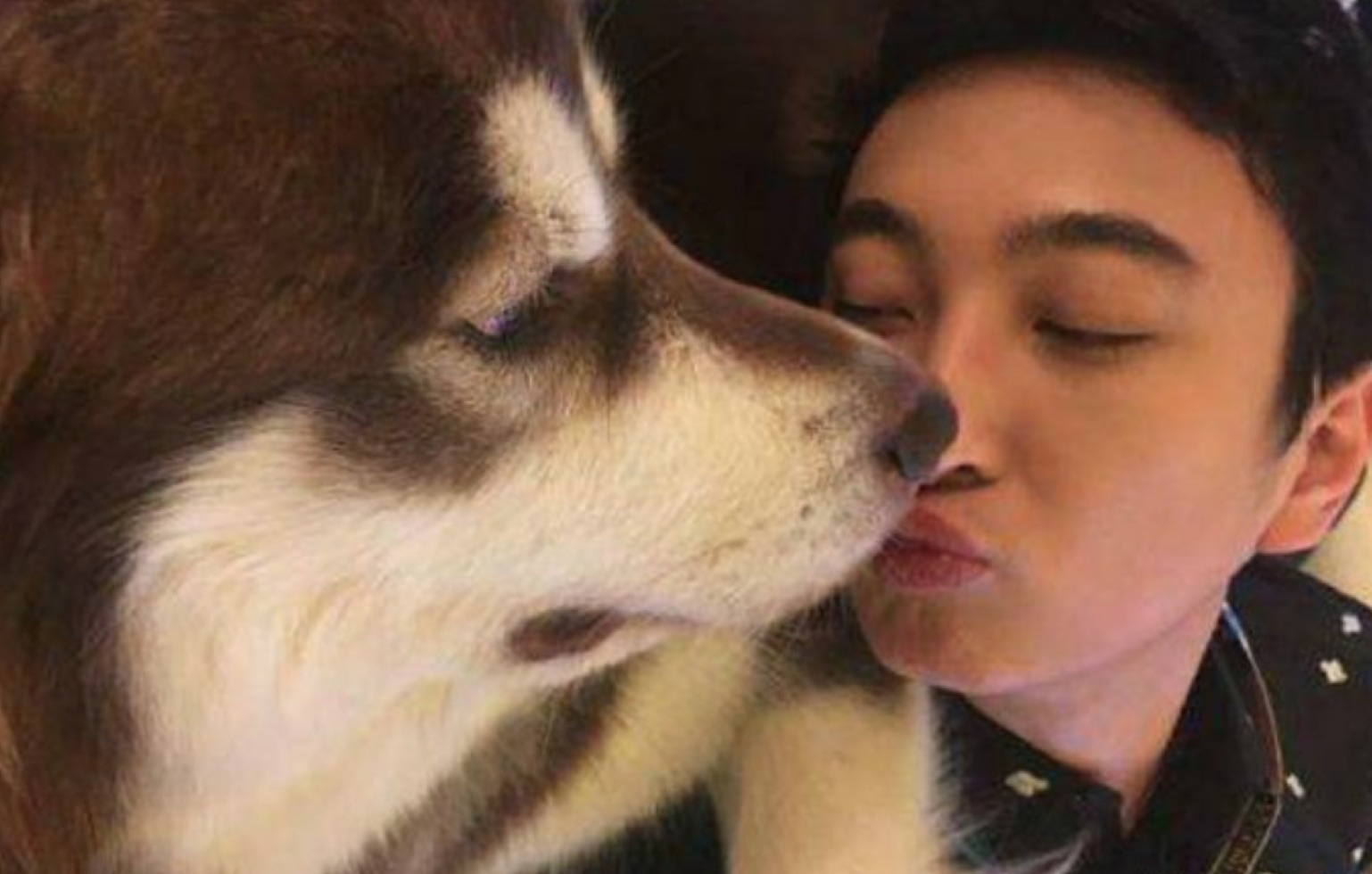 王公子“舔狗”带出个网络流行语……