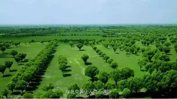 70年中国巨变视频,70年新中国巨变