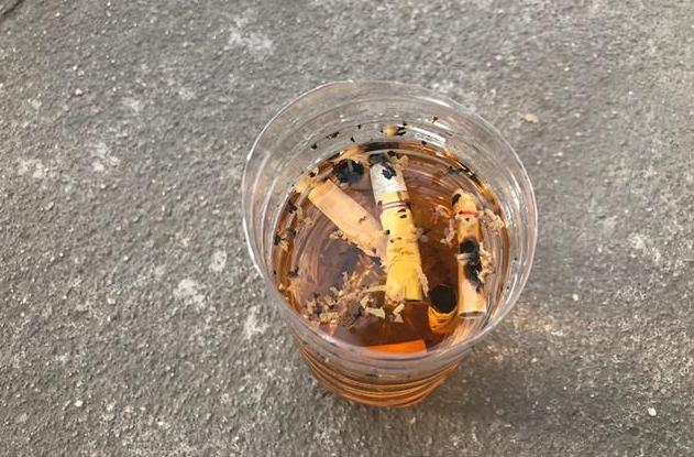 自制灭虫水最好的方法,怎么消灭水虫最有效方法