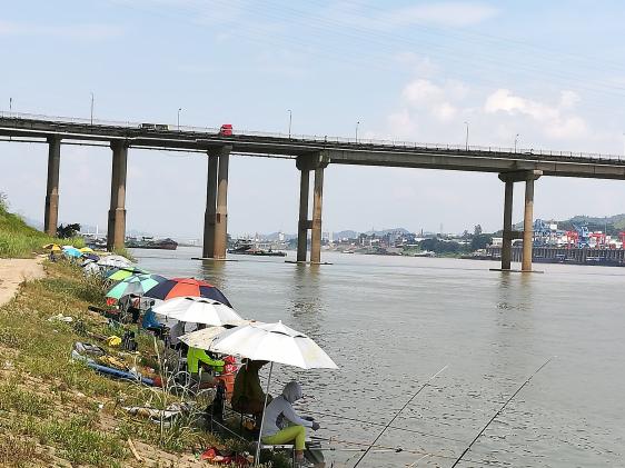 本汀神鹤战斗8.1测试,本汀神鹤爆强硬测评科学钓鱼