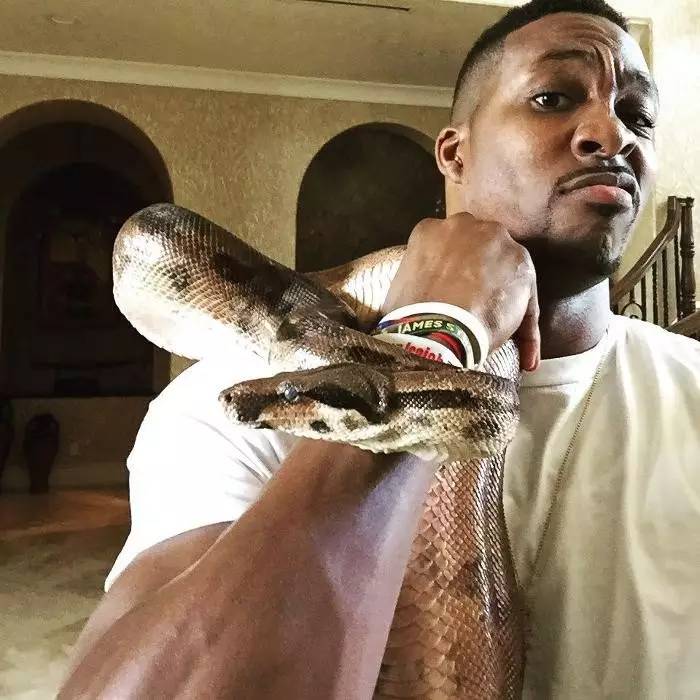 nba癖好库里,nba球星摆饰库里