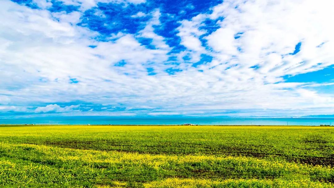 青海最值得去的11个网红景点,青海人间仙境美如画