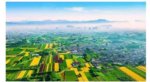 中国的各地隐藏特产,去泰国旅游带点什么特产回来