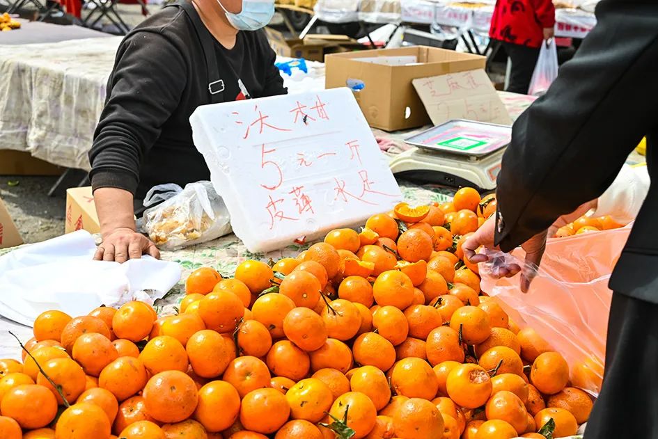 北京京郊大集地理位置,今天京郊哪有大集