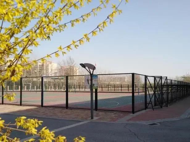 天津市瑞景中学前身天津师范学校,天津市高级中等学校