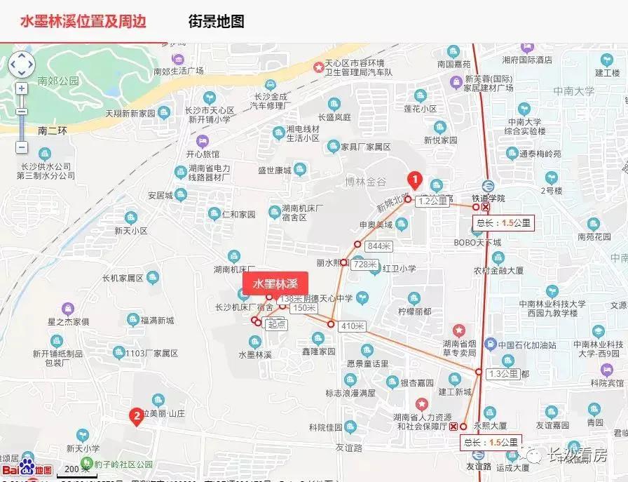 千年老树开新花,千年老树开红花