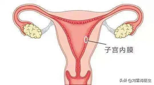 怀上了却留不住？这3大元凶让你的子宫内膜越来越薄