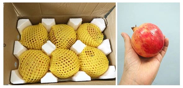 实地考察!长在树上的“雅诗兰黛”,籽软汁多更润肤