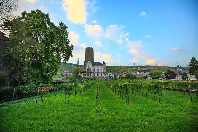 「德国」9天8晚深“德”我心之旅,1350新币起带你畅游德国