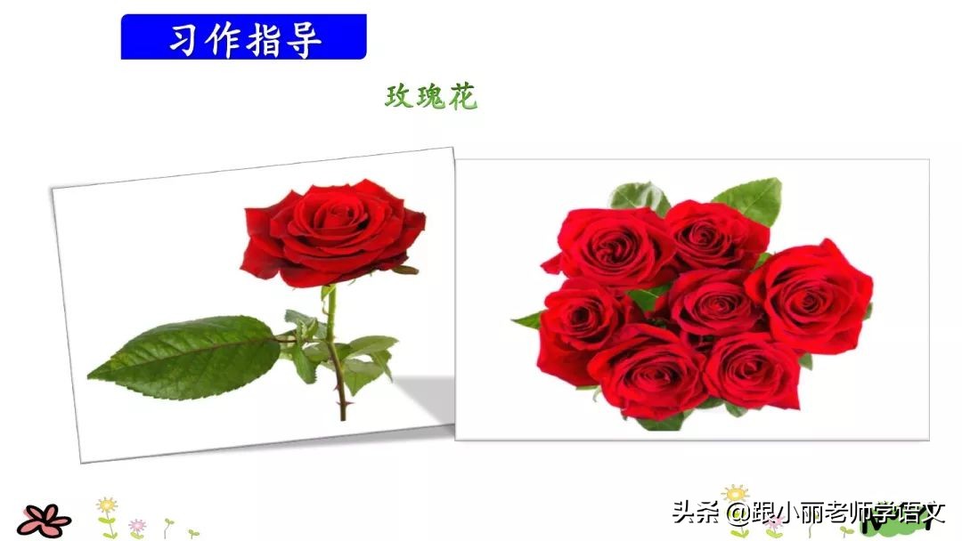 三年级上册语文我来编童话习作,三年级上册编童话作文写作技巧