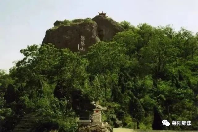 莱阳农村故事,莱阳市农村真实故事