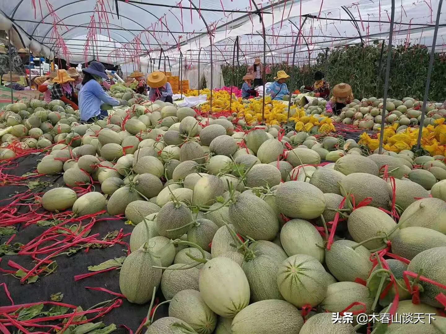 新冠肺炎后的新兴行业,新冠肺炎受损失最大的行业